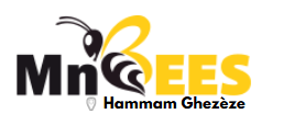 MnBees Hammam Ghezèze